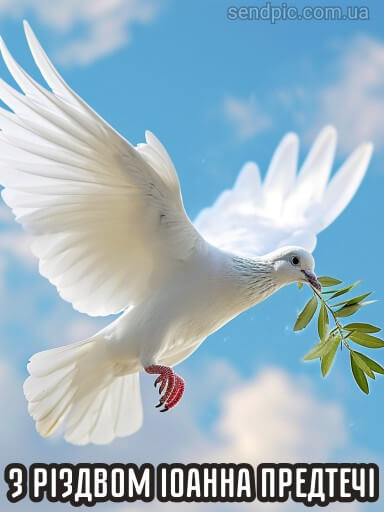 Праздник Ивана Купала и Рождество Иоанна Крестителя: поздравления и открытки