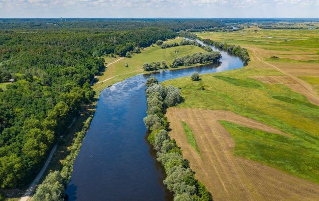 Загрязняющие вещества в реке Десна дошли до Чернигова, - Минприроды