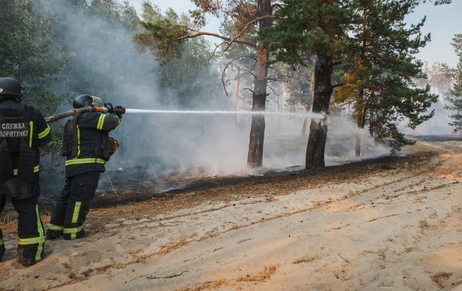 У Київській області торфʼяні пожежі: чи впливає це на повітря в столиці