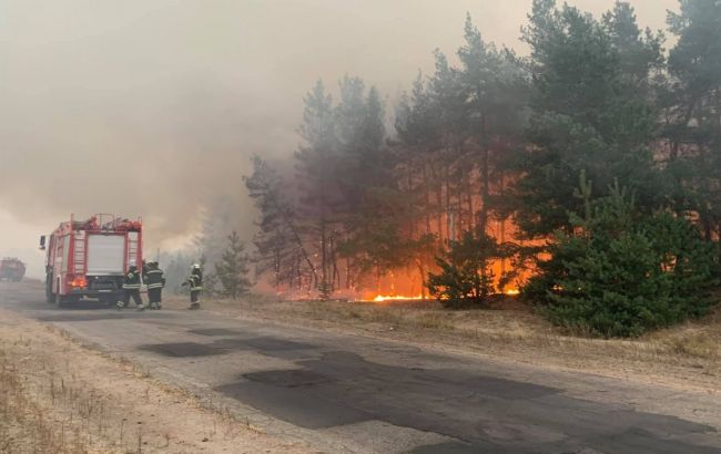 Из-за пожаров в Луганской области эвакуировали почти тысячу человек