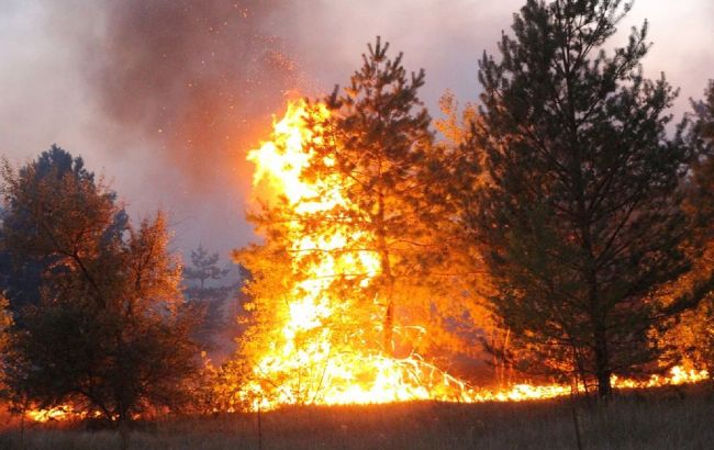 Пожежі в Харківській і Луганській областях: причини і наслідки
