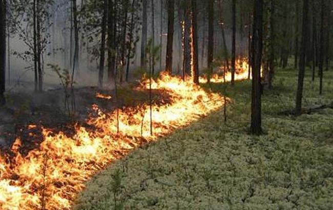 Синоптики попереджають про високий рівень пожежної небезпеки в Україні 4-6 червня