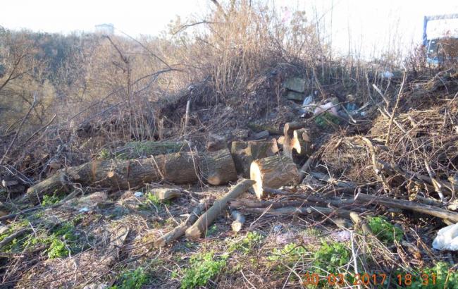 В Киеве начали массовую вырубку деревьев для новой застройки на исторической горе