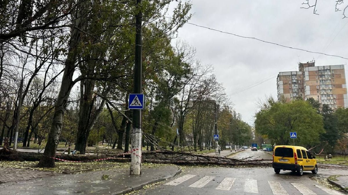 Публичный секс на пляже в Одессе (ВИДЕО)