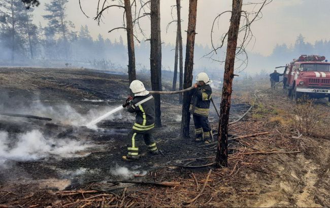 На пожежах в Луганській області виявили останки трьох людей