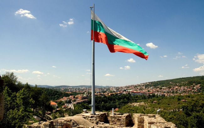Болгарія на два місяці заборонила імпорт соняшнику з України