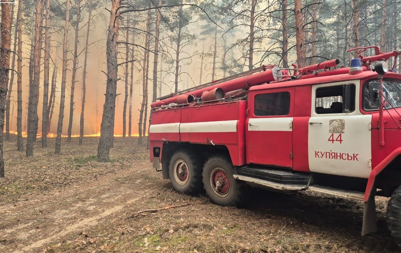 Окупанти обстріляли село під Куп'янськом і влаштували масштабну лісову пожежу (фото)