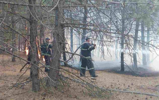 В Херсонской и Николаевской областях возникли лесные пожары