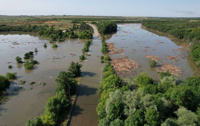 В окупованій Голій Пристані затопило майже 200 будинків, вода продовжує прибувати, - ОВА