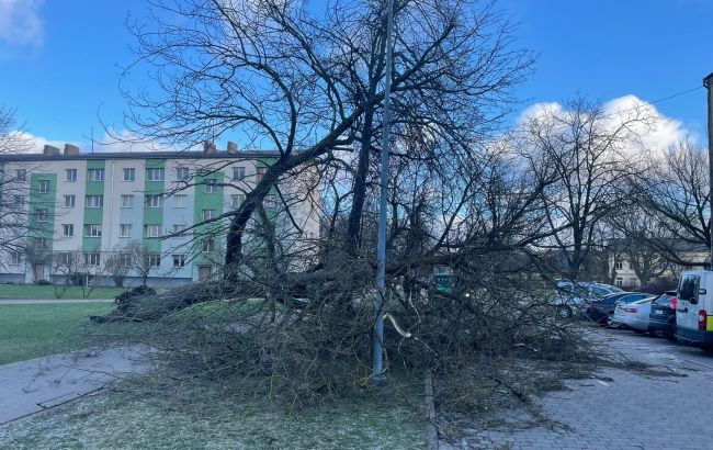 Латвію накрив сильний ураган: літаки не можуть приземлитися