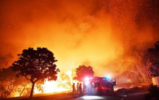 В Австралії оголосили режим НС через лісові пожежі