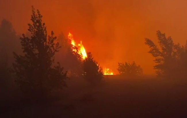 Возле Чернобыльской зоны произошел лесной пожар. Бойцы ГСЧС спасли женщину