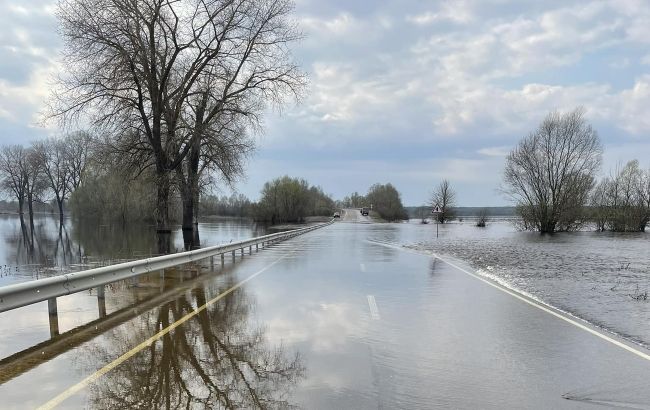 На одній з трас у Чернігівської області сталося підтоплення: де і як об'їхати