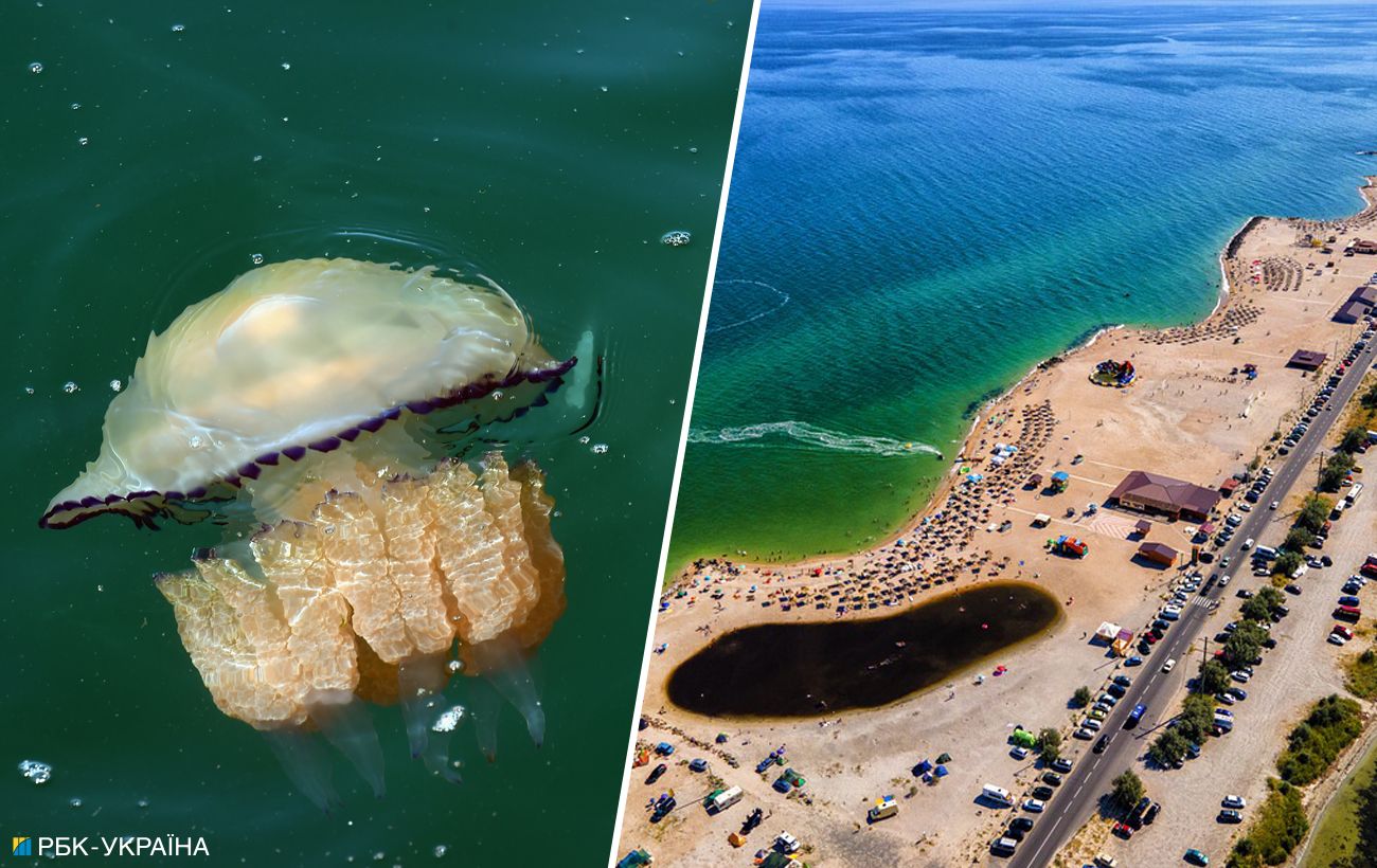 Отдых на курортах Азовского моря - почему появились медузы, почему цены  высокие в 2021 году | РБК-Україна