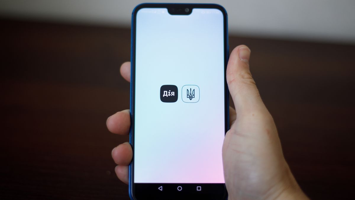Дія позволяет украинцам пользоваться документами за границей | РБК Украина