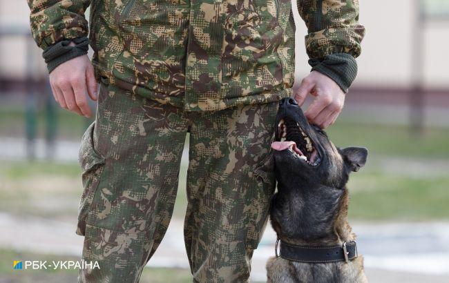 "Граната" в посылке. В Киеве в отделение почты вызвали кинологов