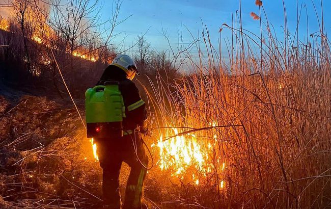 Українців попередили про "весняний" штраф. За яке порушення доведеться заплатити тисячі гривень