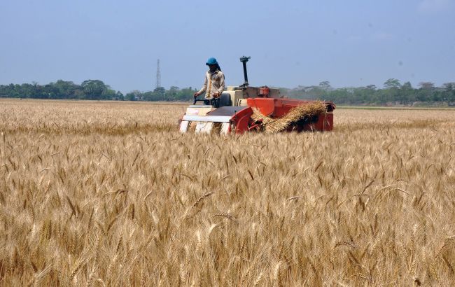 Окупанти підтвердили викрадення українського зерна у Запорізькій області