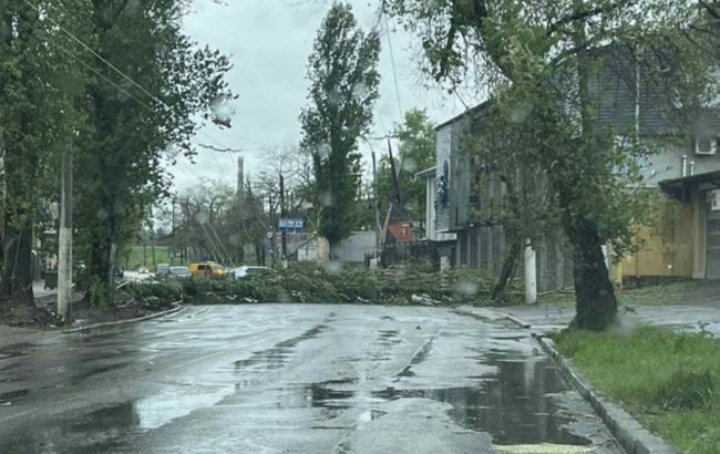 В Україні вирує негода. Без світла десятки населених пунктів у шести регіонах