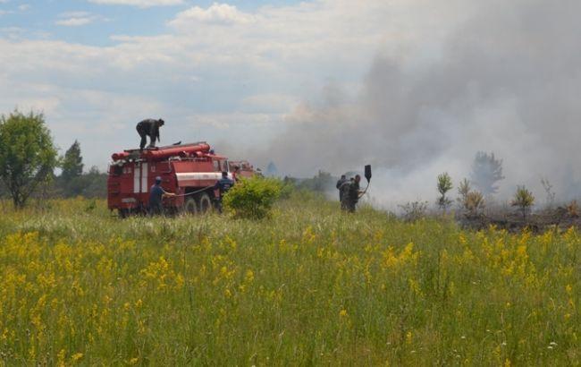 Пожежа під Чорнобилем: горіння трави ліквідовано, триває гасіння торфовищ