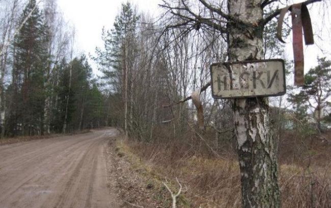 У Донецькій області місцевий житель підірвався на вибуховому пристрої