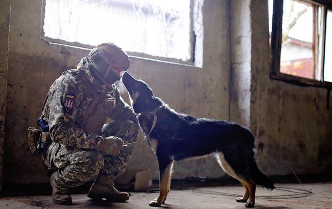 Украинские воины снялись с бездомными животными, чтобы помочь обрести им семью: милые фото