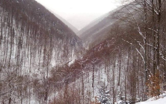 Снігопади та хуртовини в Карпатах. Є загроза сходження лавин