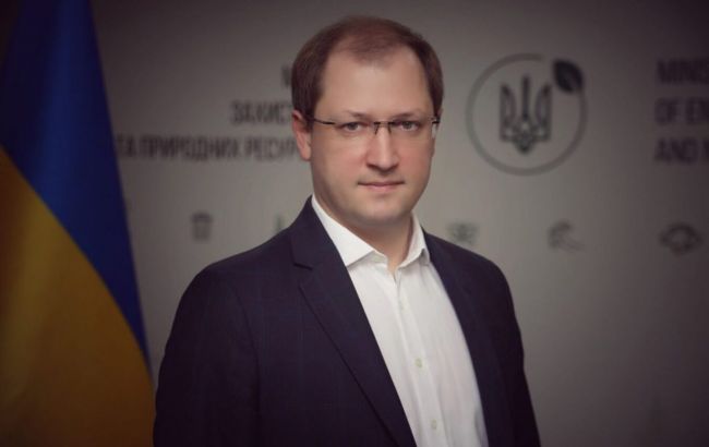 Рада поддержала увольнение главы Минприроды Стрельца