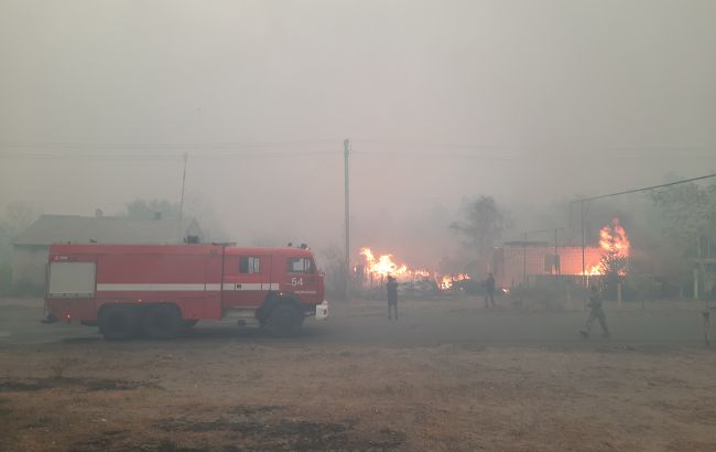 Пожежі у Луганській області: поліція назвала кількість жертв та зниклих безвісти