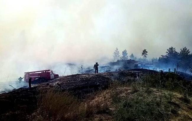 В Луганской области третьи сутки продолжаются лесные пожары