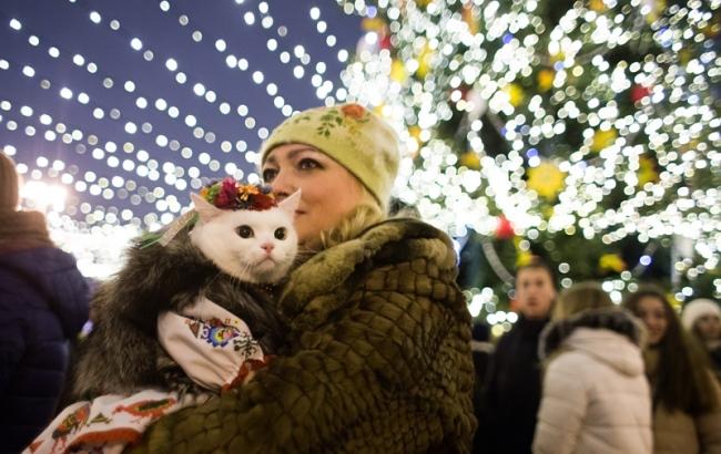 В Киеве зажгли главную елку страны: фоторепортаж