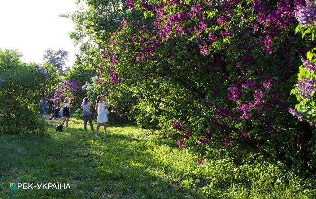 В Україну повертається тепло: прогнозом погоди на сьогодні