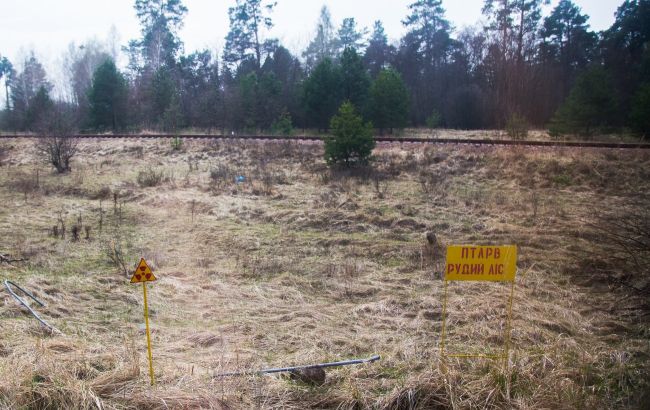 У Чорнобильській зоні велике підприємство збирало радіоактивний врожай
