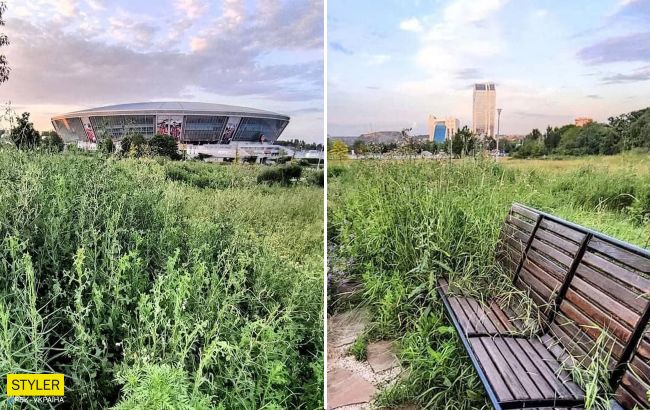 Появились грустные фото заброшенной "Донбасс Арены" в Донецке: "спасибо, Россия!"