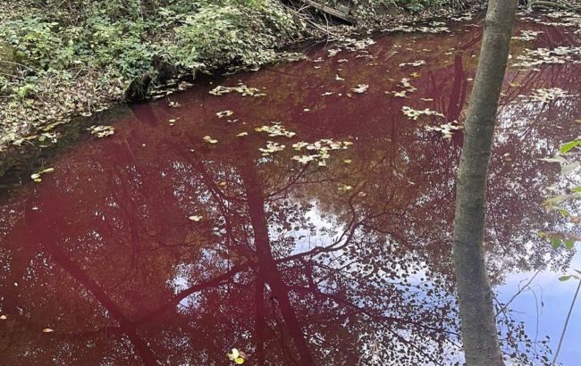 В Закарпатье покраснела вода в одном из каналов: экологи встревожены