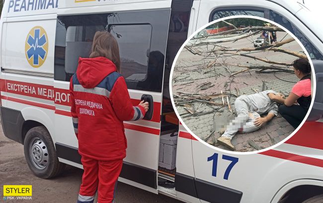 В Днепре сухое дерево упало на мужчину: сломаны обе ноги