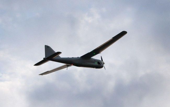 В Херсонській області знищили дрон росіян "Мерлін-ВР"