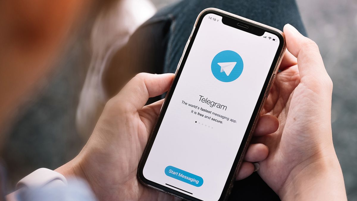 Стикеры Luka и Sasha 3% в Telegram признаны экстремистскими в Беларуси |  РБК-Україна