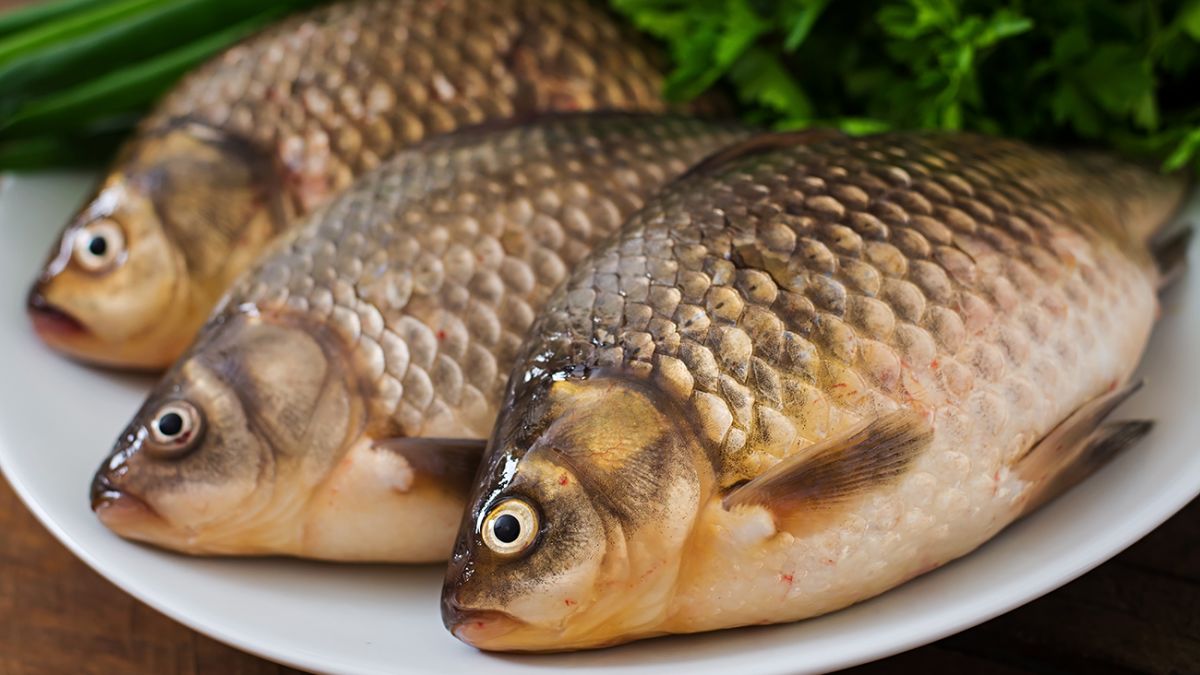 4 простых и вкусных блюда из карася | Рыба моей мечты | Дзен