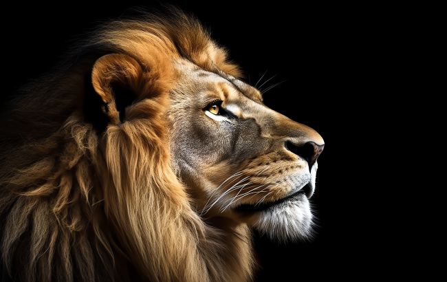 Кто сильнее льва? Топ-7 самых опасных хищников