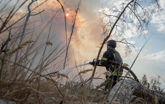 Чому в Україні горять торфовища і як на це впливає війна: пояснення Міндовкілля