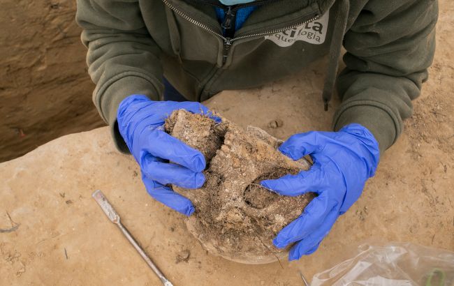 Археологи обнаружили гигантское чумное захоронение: самое большое аварийное кладбище в Европе