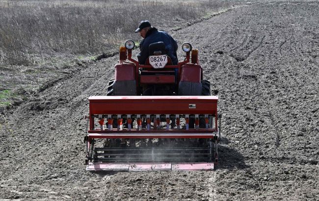 Приватизація землі у 2024 році: хто з українців ризикує втратити свою "власність"