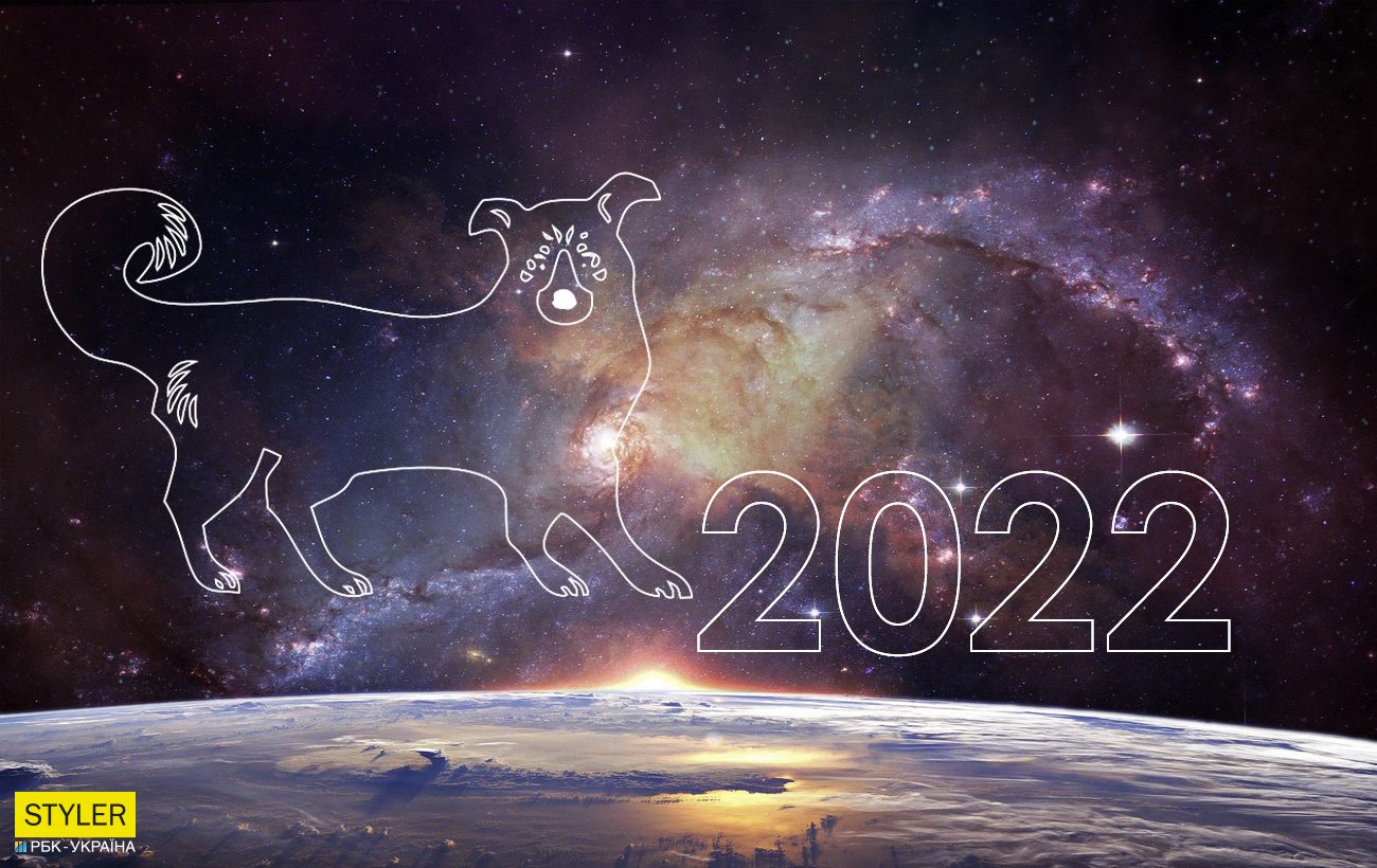 Horoscope 2022 for the sign Dog – what awaits the eastern sign in the year of the Tiger