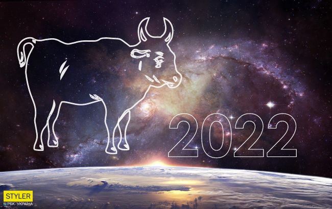 Гороскоп 2022 для знака Бик: що змінить Чорний Тигр в любові, фінансах і кар'єрі