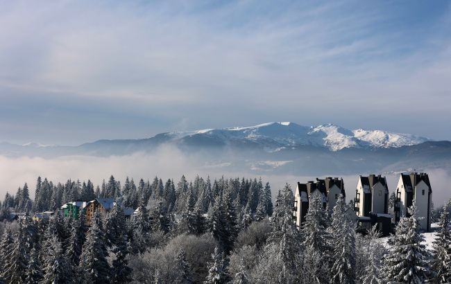 Настоящий предновогодний день. Карпаты замело снегом (фото)