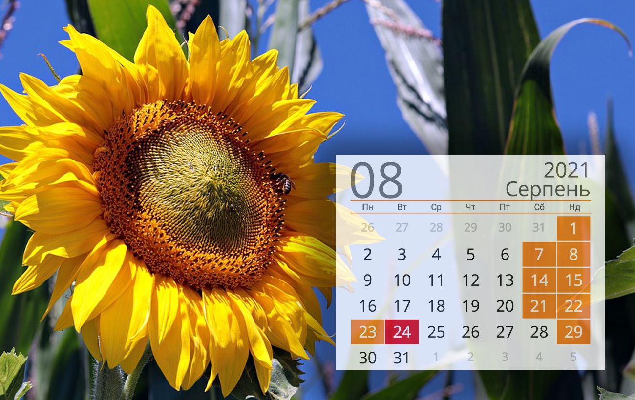 Prazdniki I Vyhodnye Dni Na Avgust 2021 Polnyj Kalendar Rbk Ukraina
