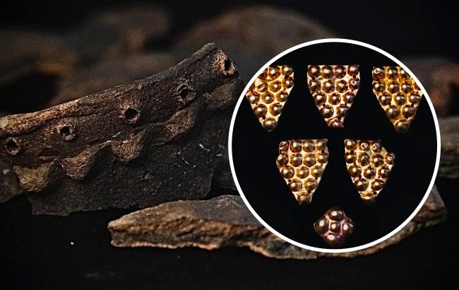 В Полтавской области обнаружили уникальное золото, которому более 2 000 лет: фото находки