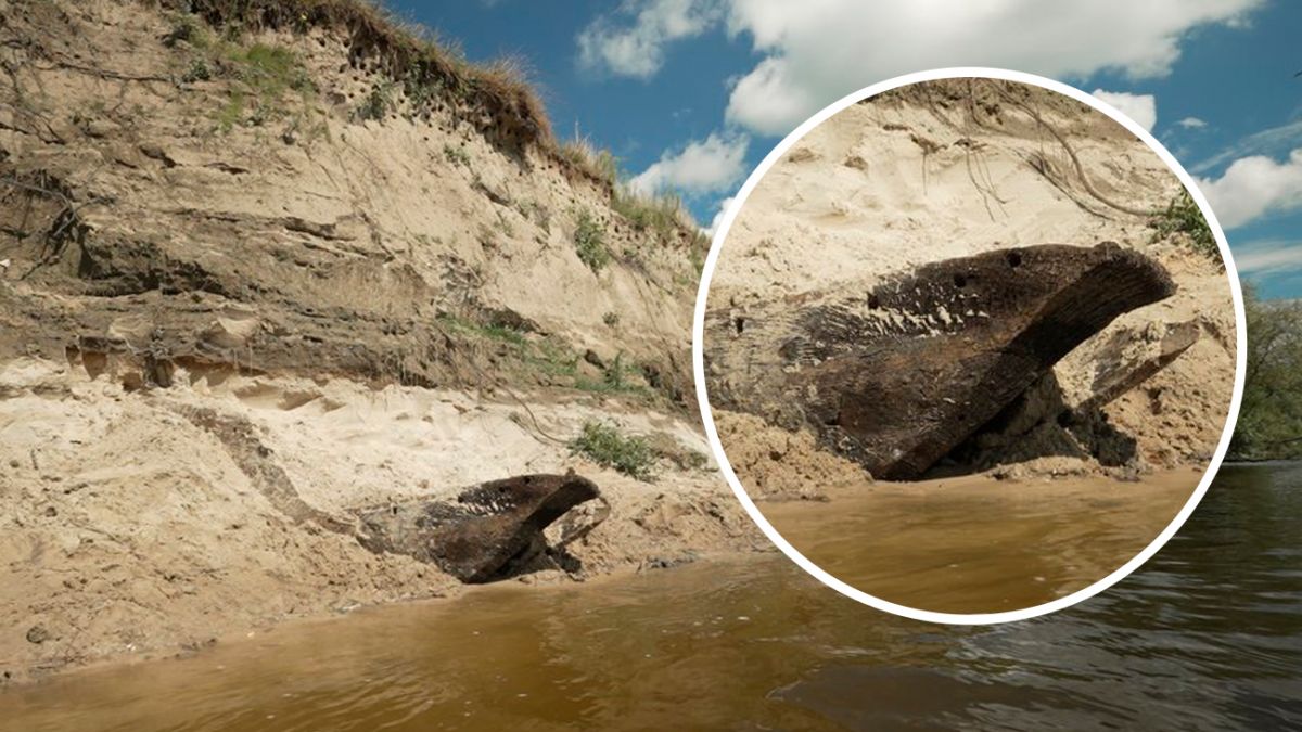 Черные археологи украли старинную лодку с берега Десны - что известно |  Новости РБК Украина