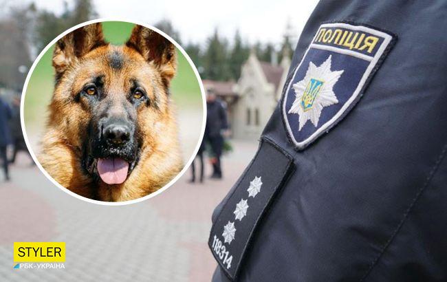 У Львові поліцейський застрелив вівчарку: розгорається скандал із зоозахисниками